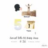 September 2024 Singing Time Bundle - Image 2